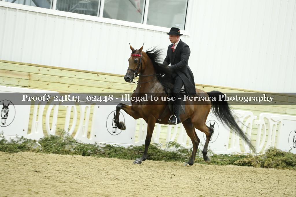 Proof 24R13_02448