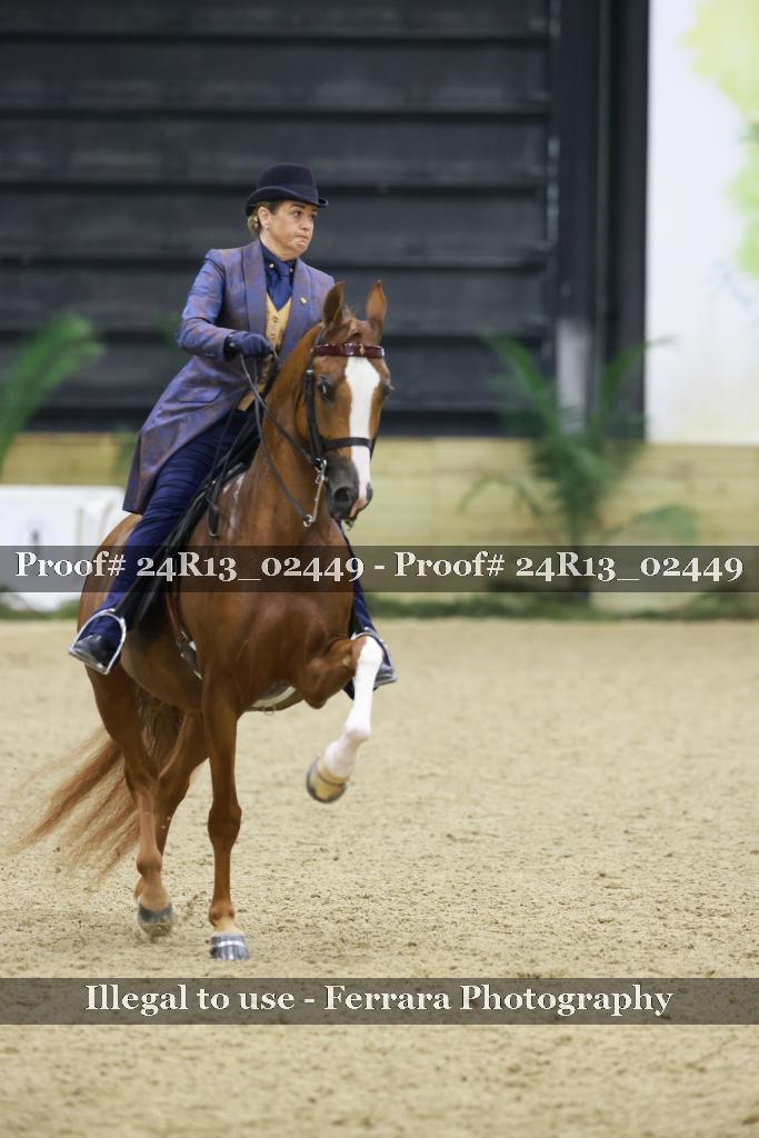 Proof 24R13_02449
