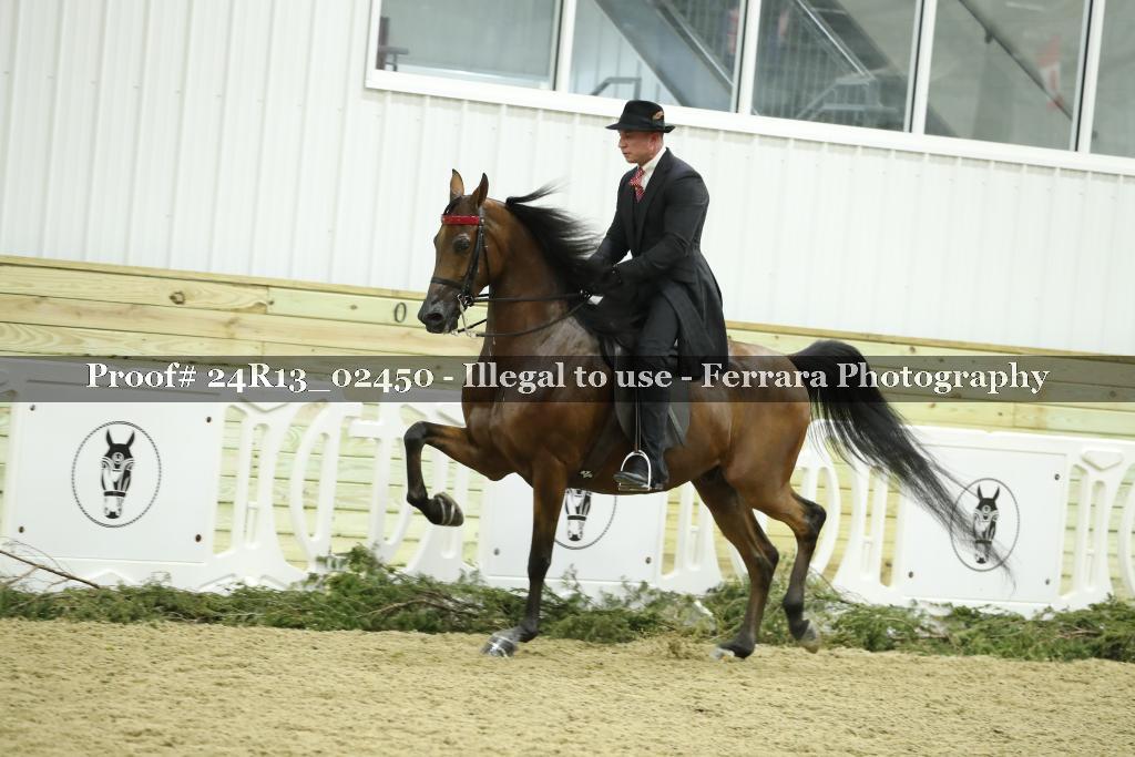 Proof 24R13_02450