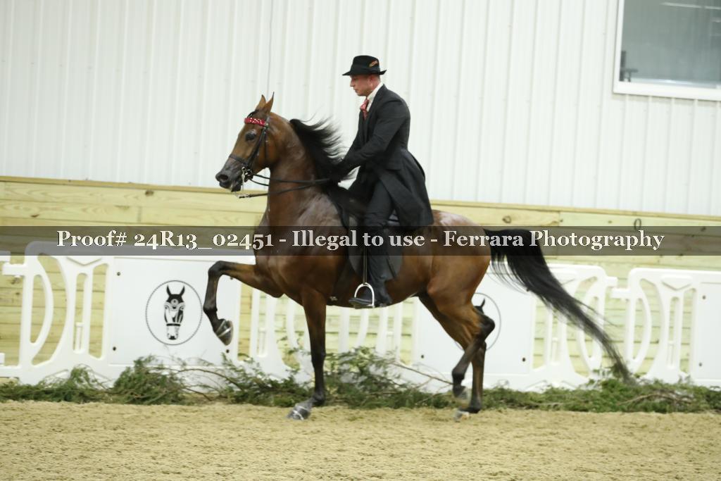 Proof 24R13_02451