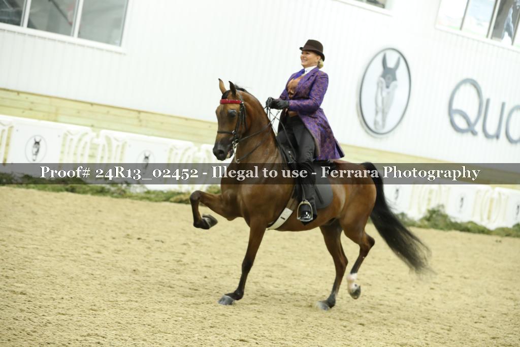 Proof 24R13_02452