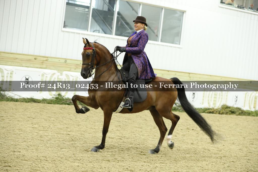 Proof 24R13_02453