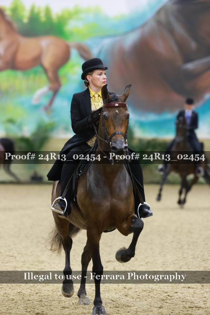 Proof 24R13_02454