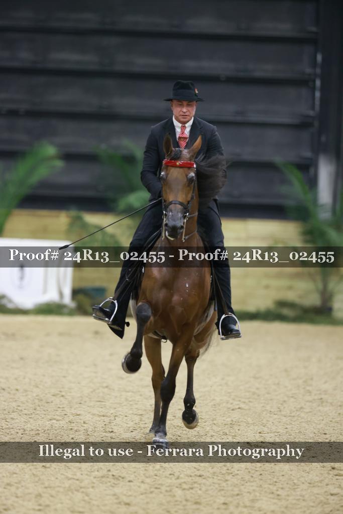 Proof 24R13_02455