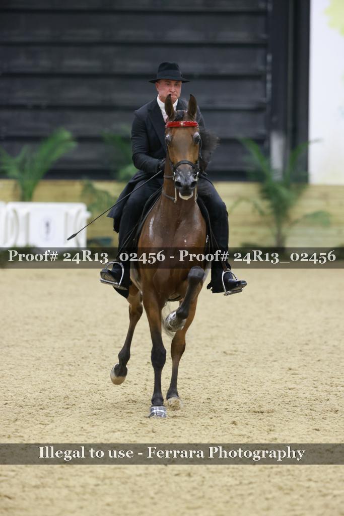 Proof 24R13_02456