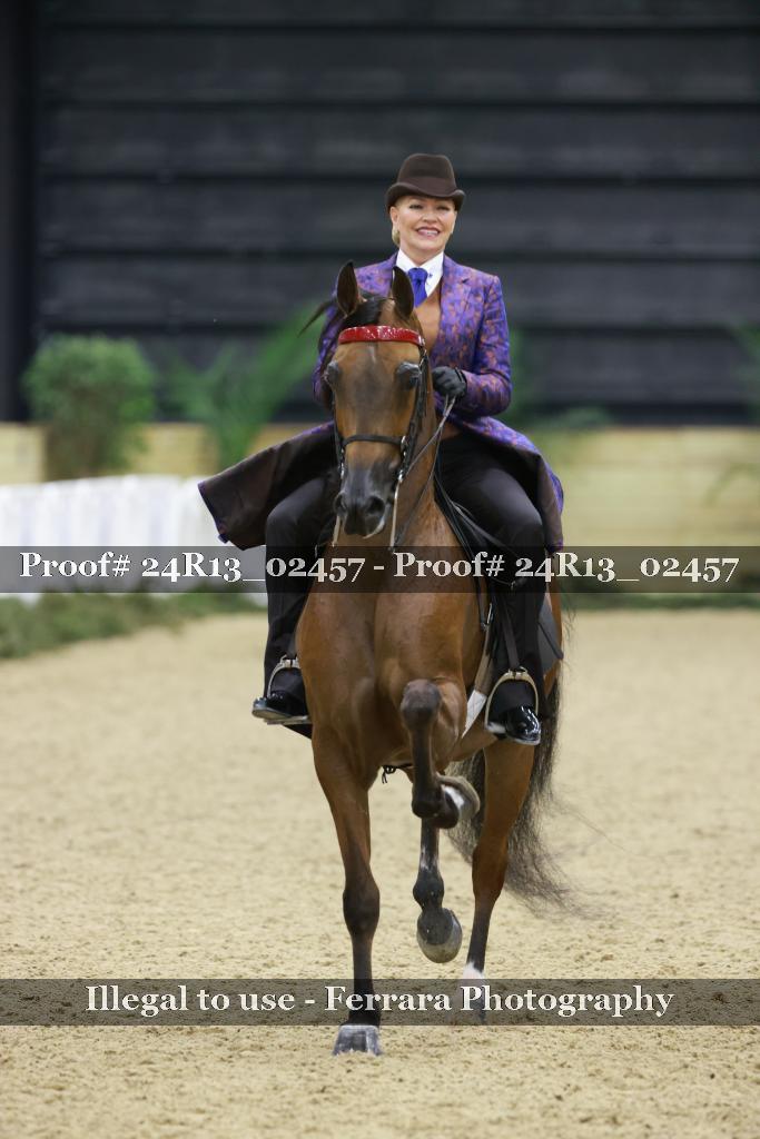 Proof 24R13_02457