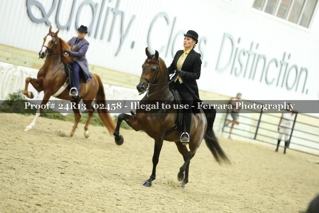 Proof 24R13_02458