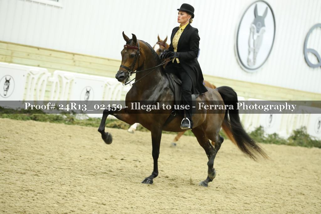 Proof 24R13_02459