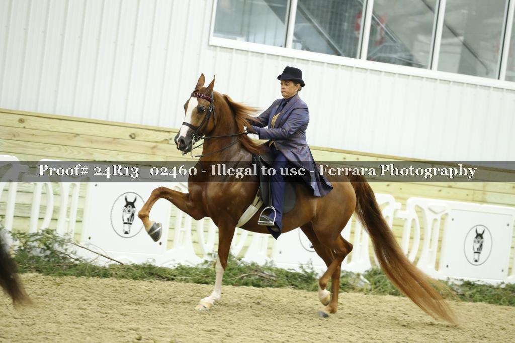 Proof 24R13_02460