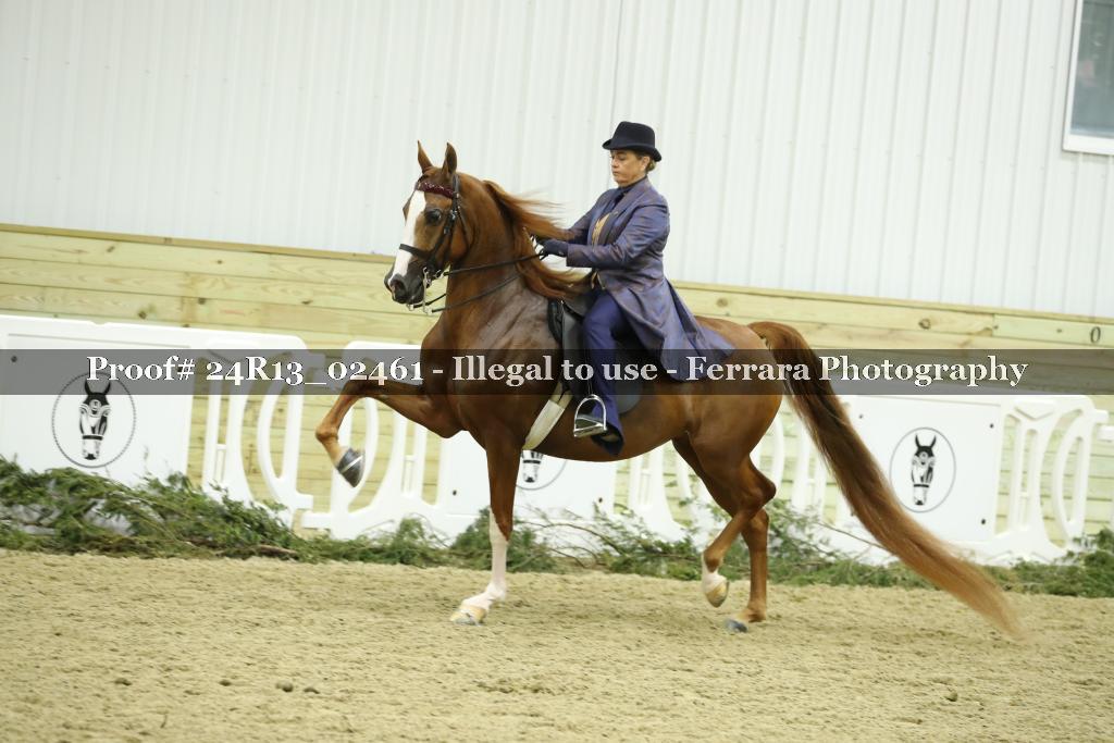 Proof 24R13_02461