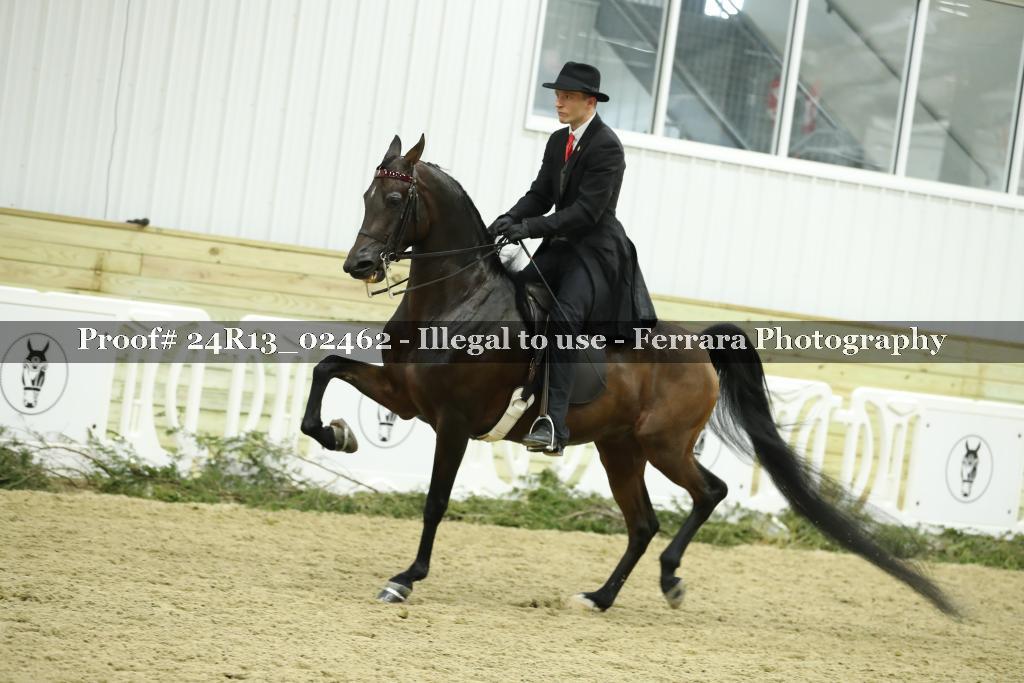 Proof 24R13_02462