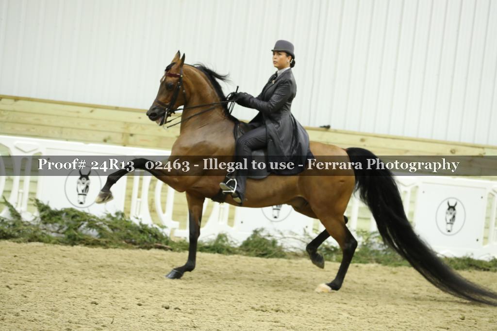 Proof 24R13_02463