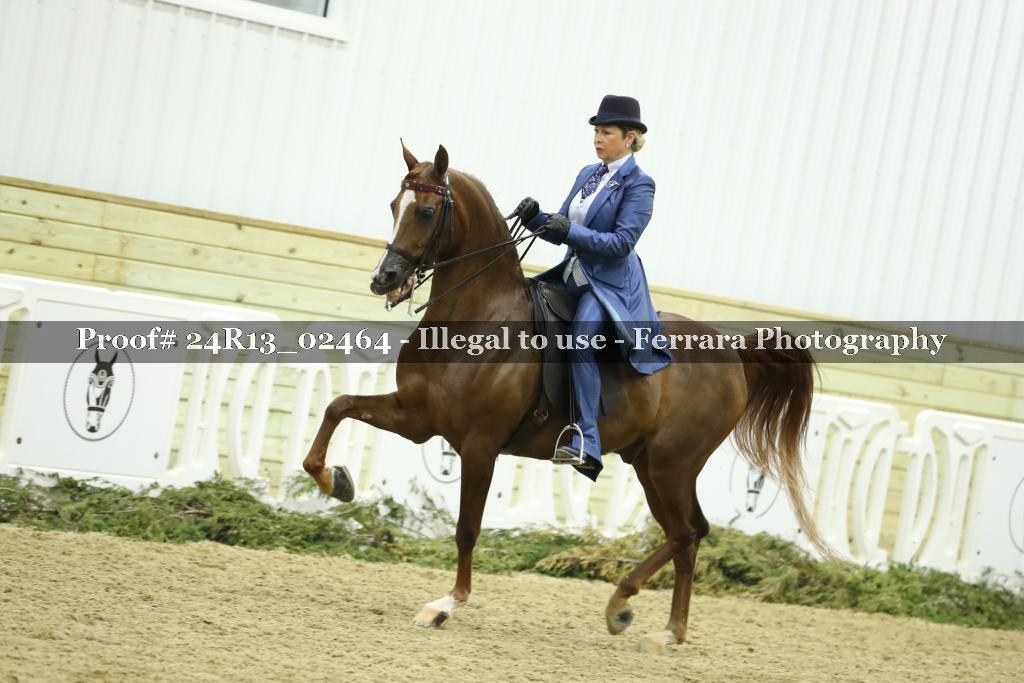 Proof 24R13_02464