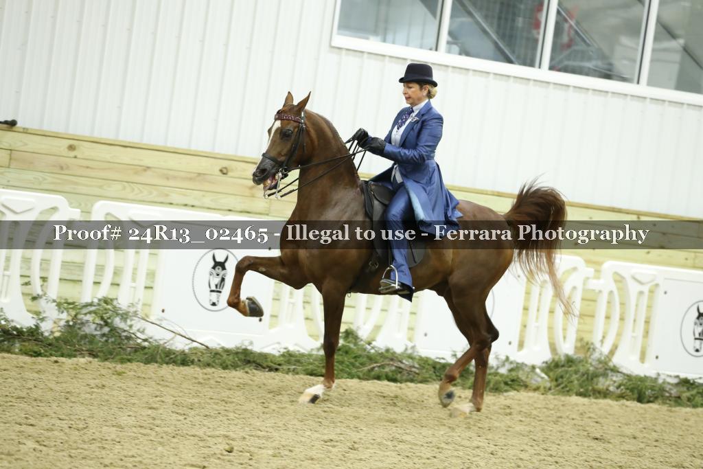 Proof 24R13_02465