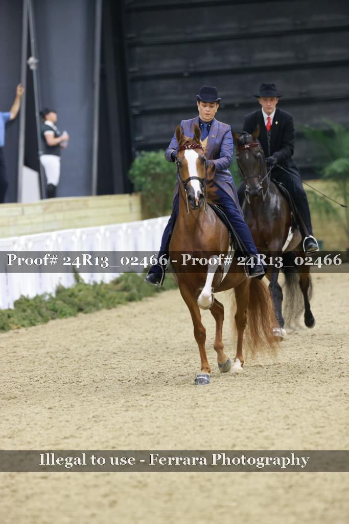 Proof 24R13_02466