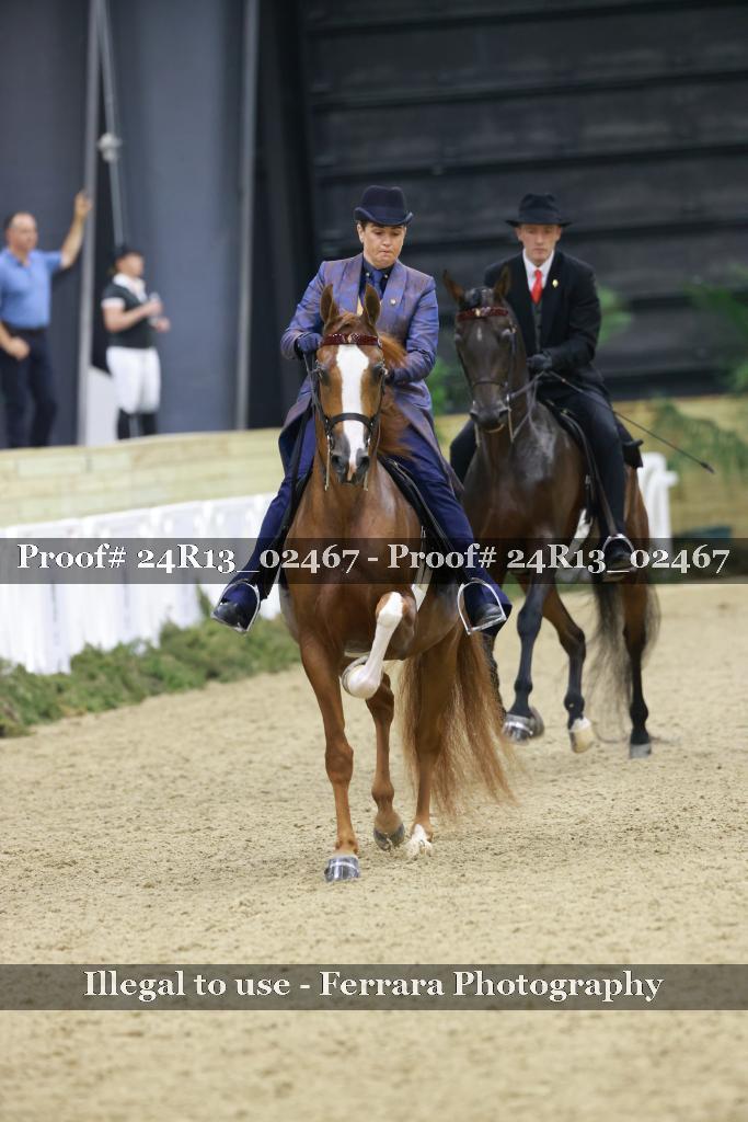 Proof 24R13_02467