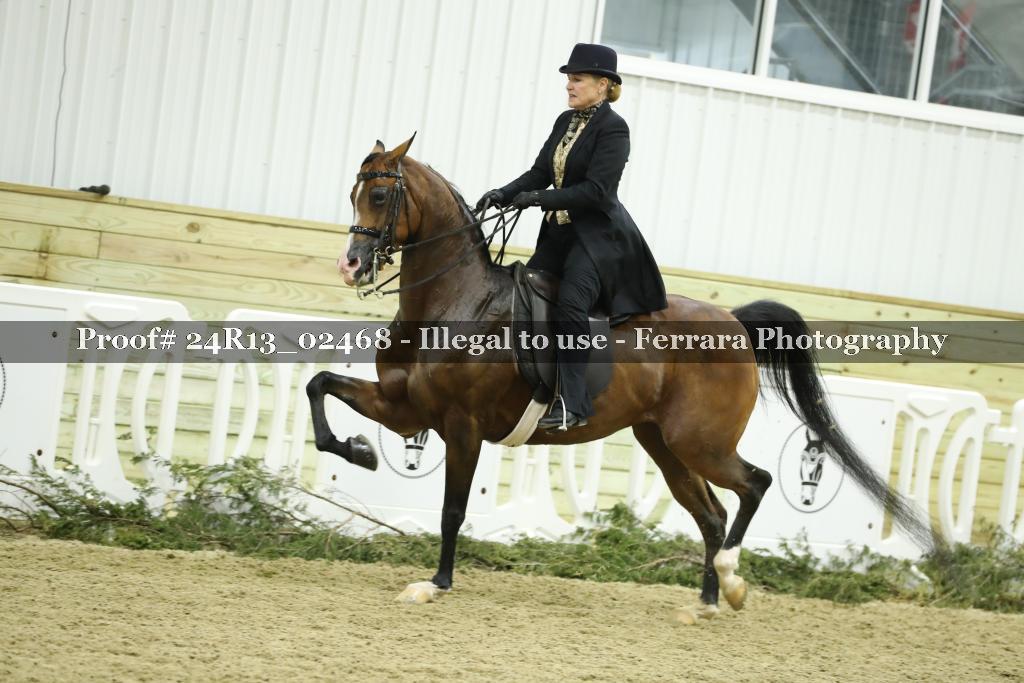 Proof 24R13_02468