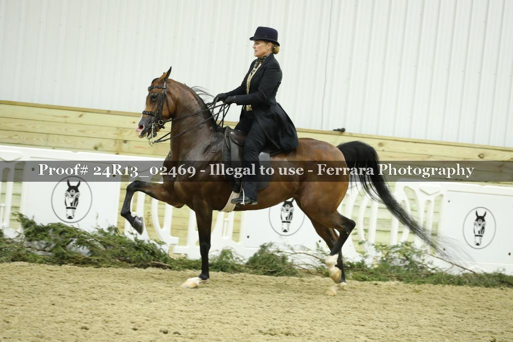 Proof 24R13_02469