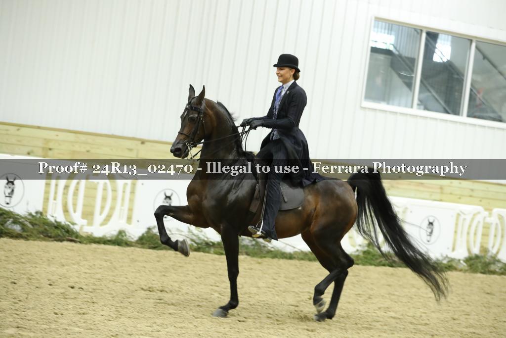 Proof 24R13_02470