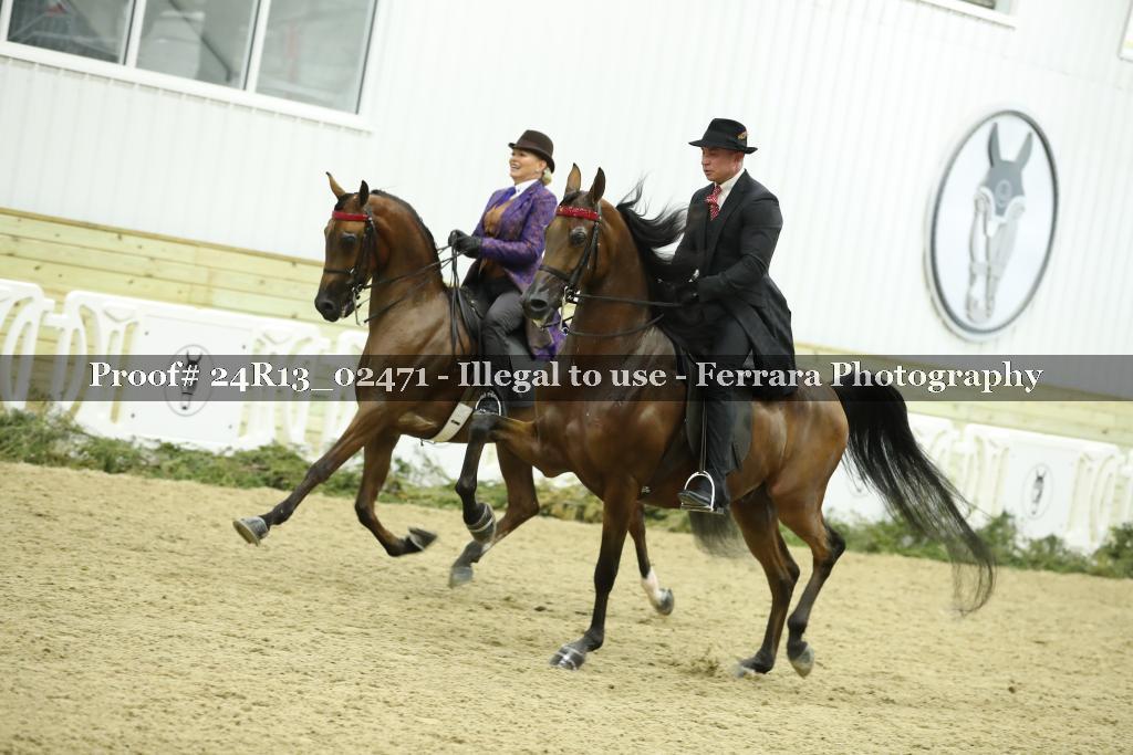 Proof 24R13_02471