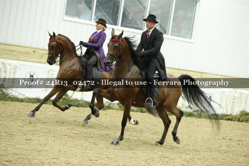 Proof 24R13_02472