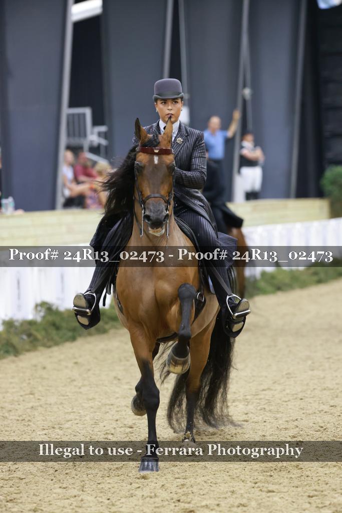 Proof 24R13_02473