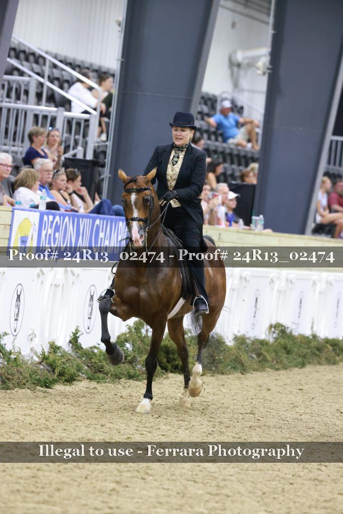 Proof 24R13_02474