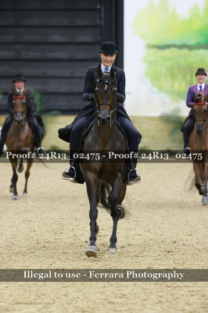 Proof 24R13_02475