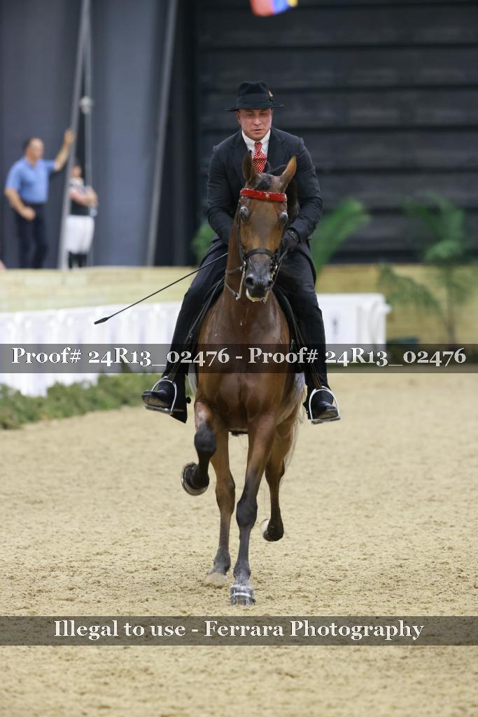 Proof 24R13_02476