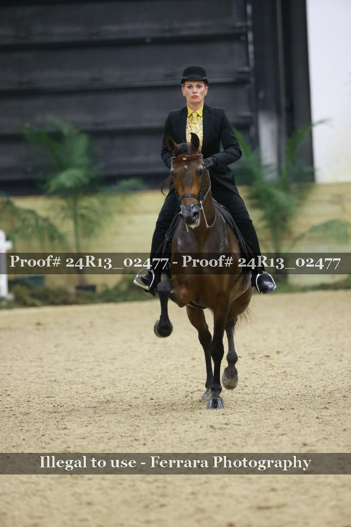 Proof 24R13_02477