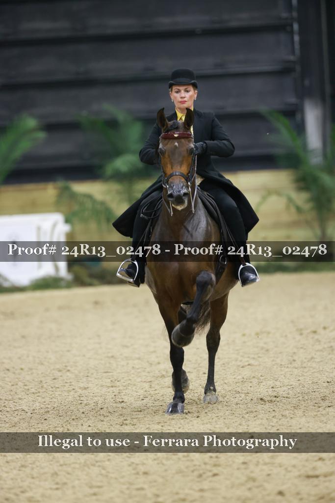 Proof 24R13_02478