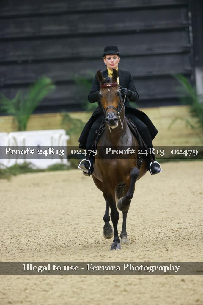Proof 24R13_02479
