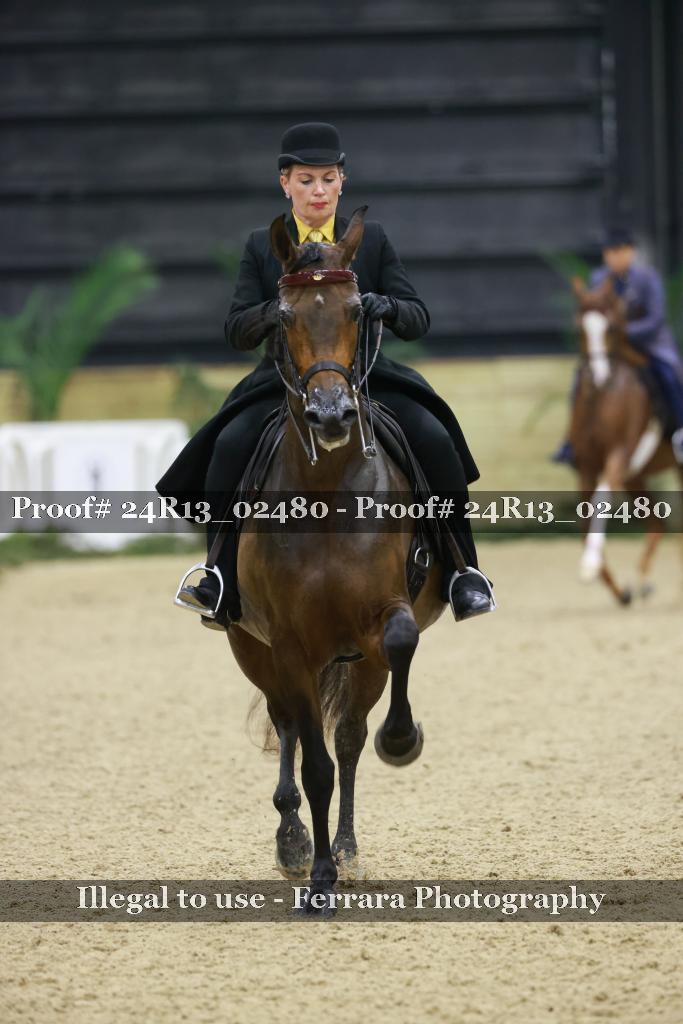 Proof 24R13_02480