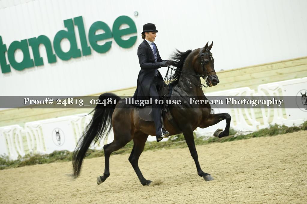 Proof 24R13_02481