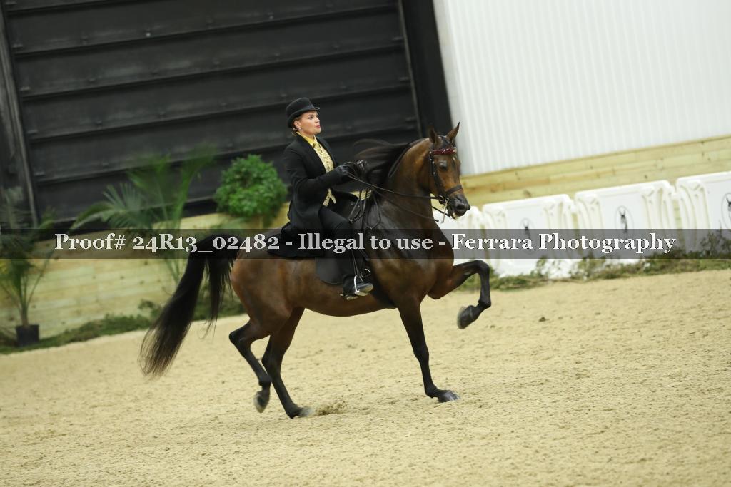 Proof 24R13_02482
