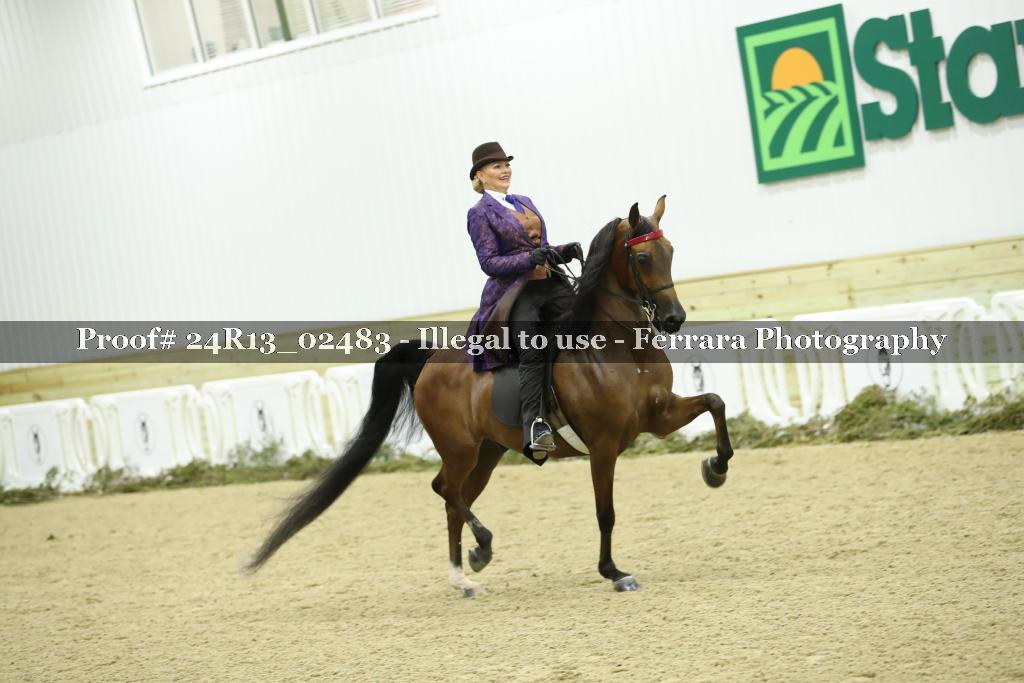 Proof 24R13_02483