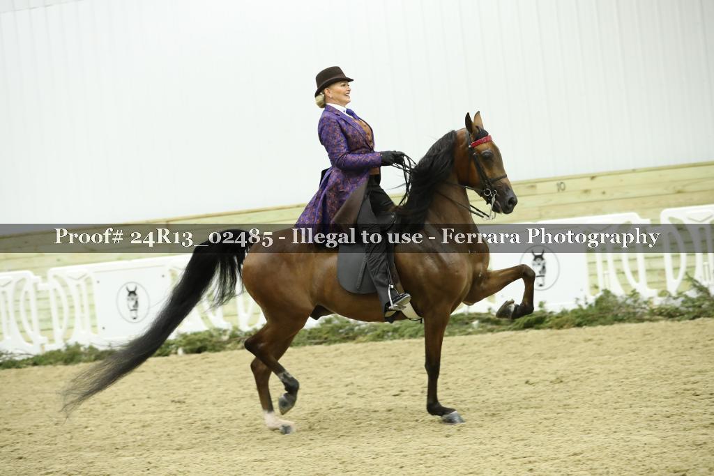 Proof 24R13_02485