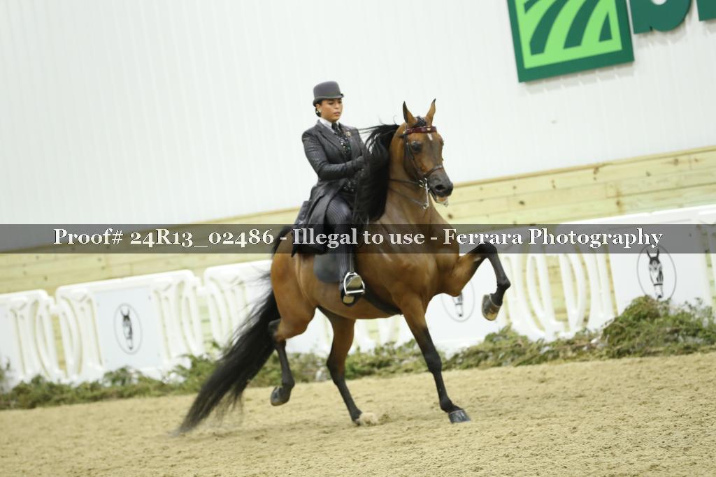 Proof 24R13_02486
