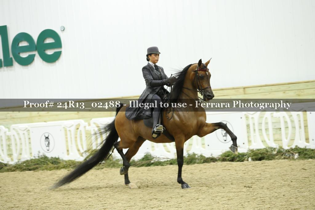 Proof 24R13_02488