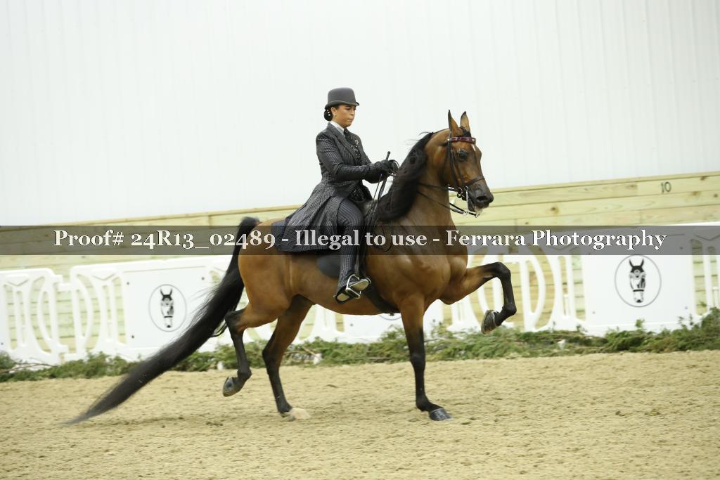 Proof 24R13_02489