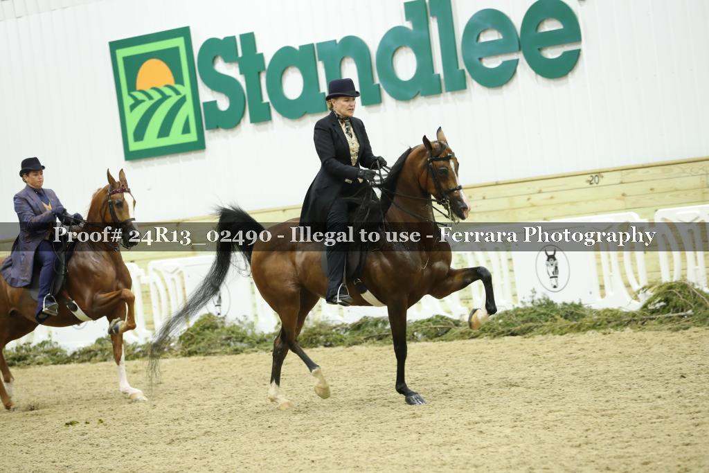 Proof 24R13_02490