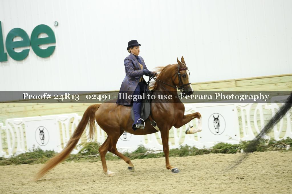 Proof 24R13_02491