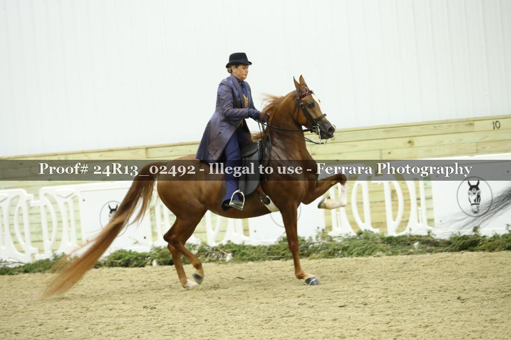 Proof 24R13_02492