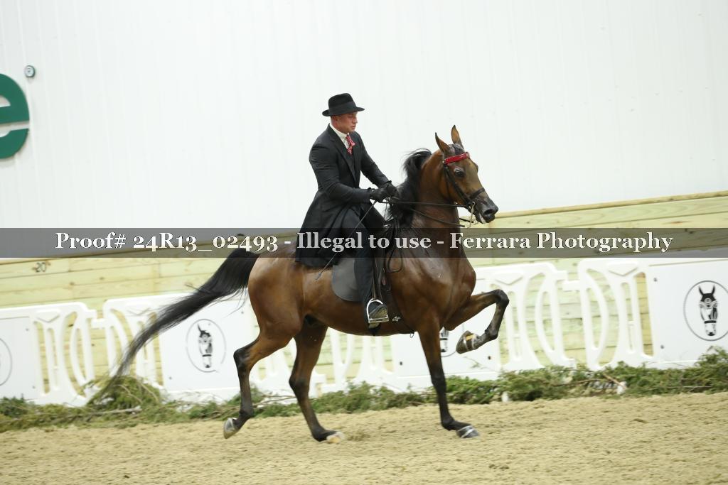Proof 24R13_02493