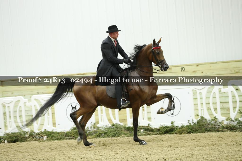Proof 24R13_02494