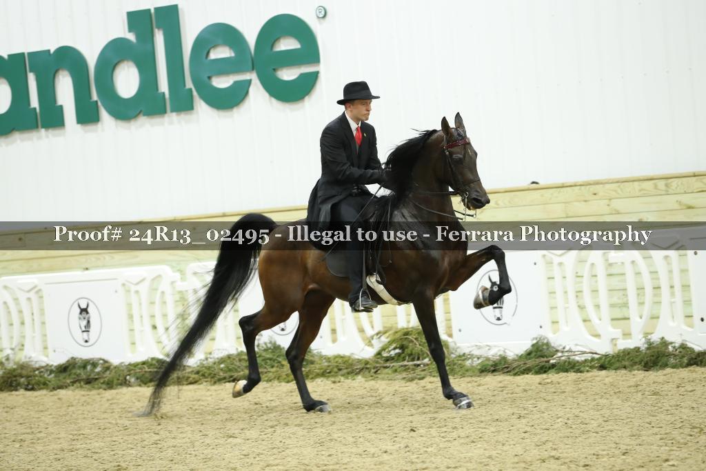 Proof 24R13_02495