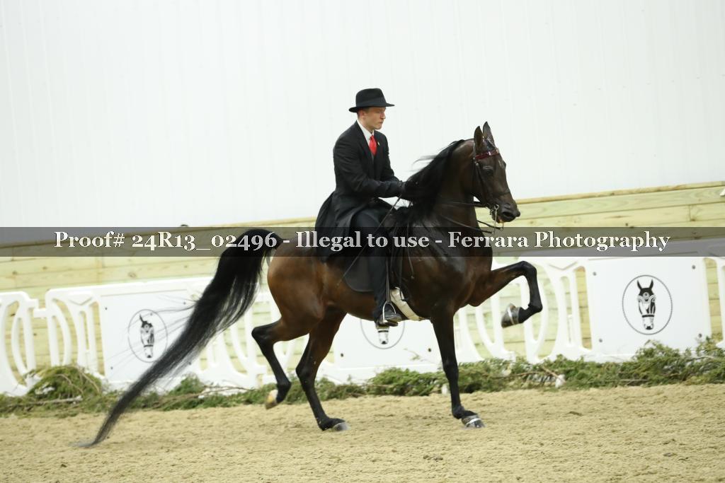 Proof 24R13_02496