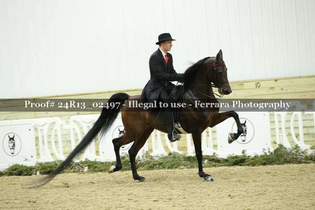 Proof 24R13_02497