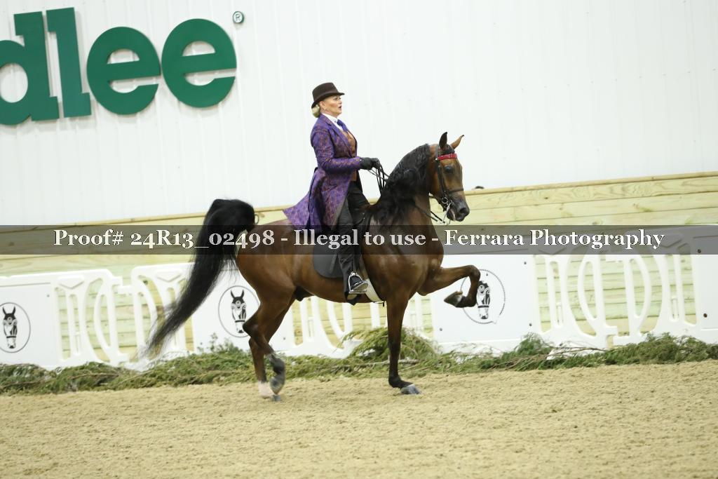 Proof 24R13_02498