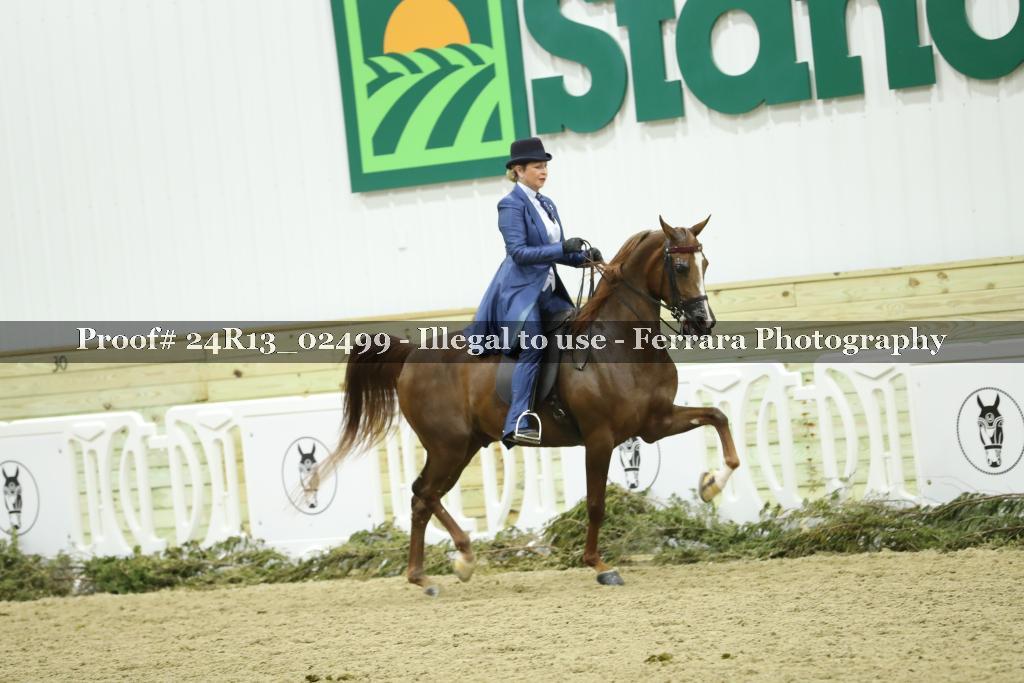 Proof 24R13_02499